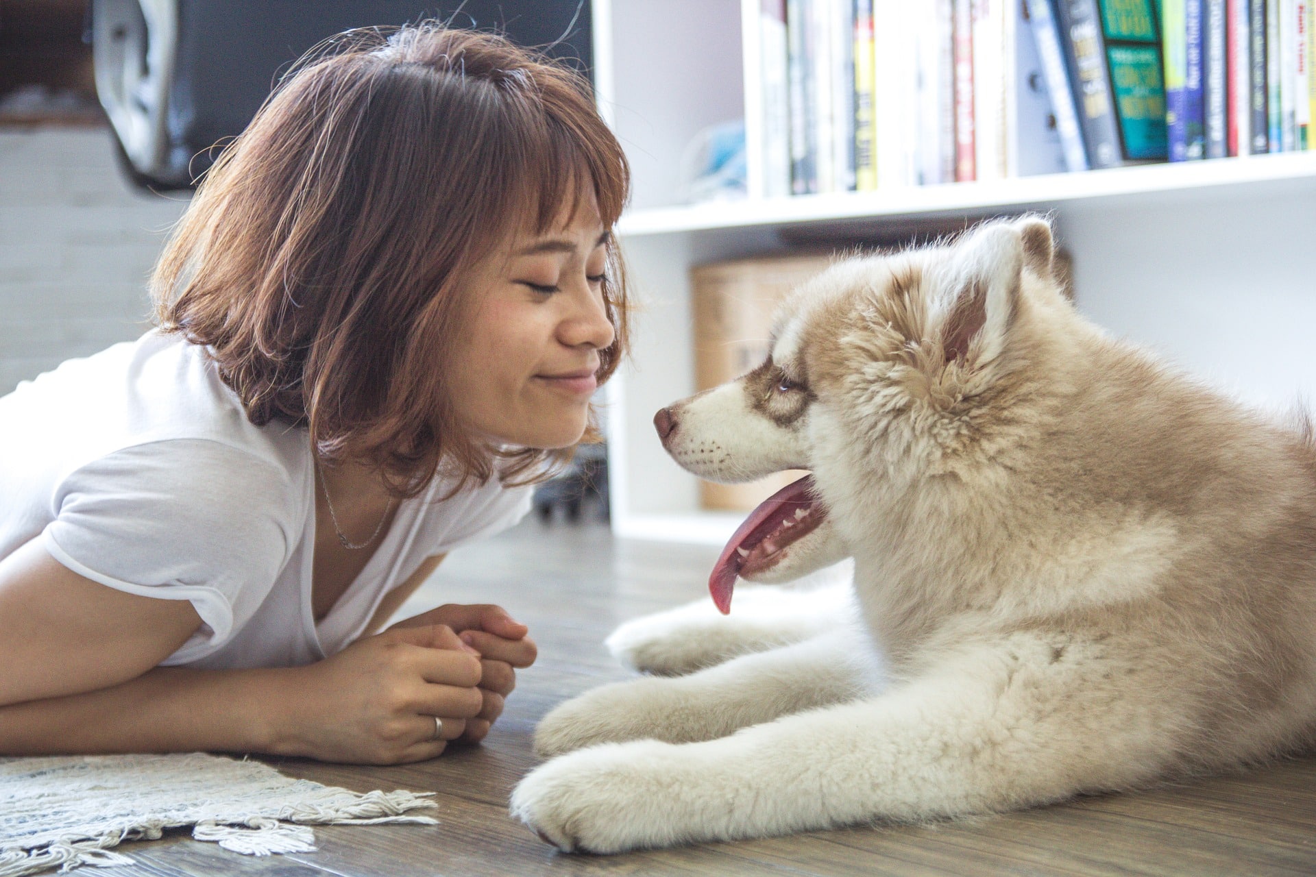 elegir nombres de perro