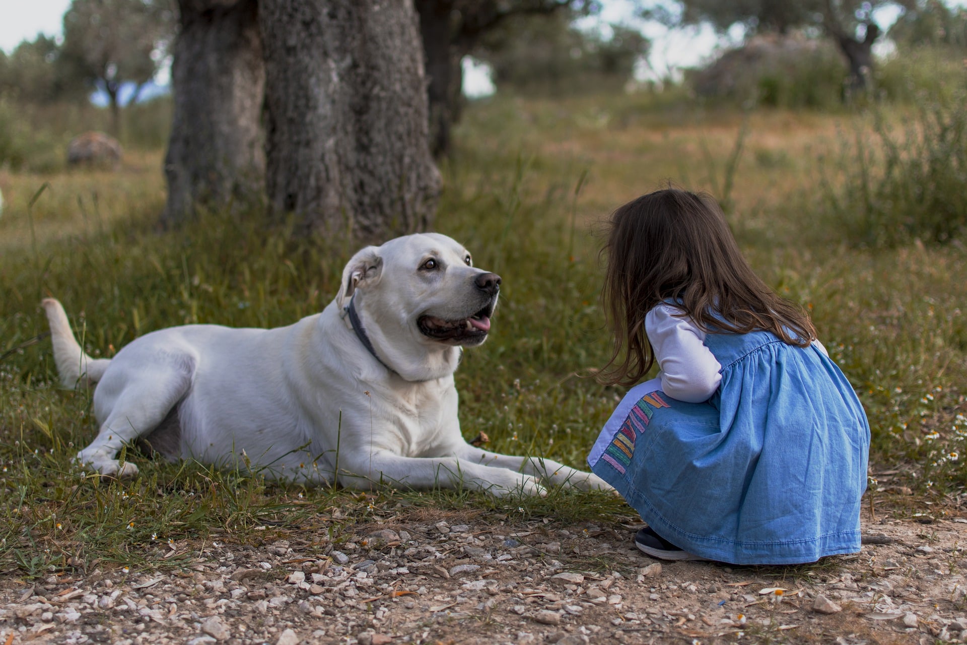 mascotas y niños