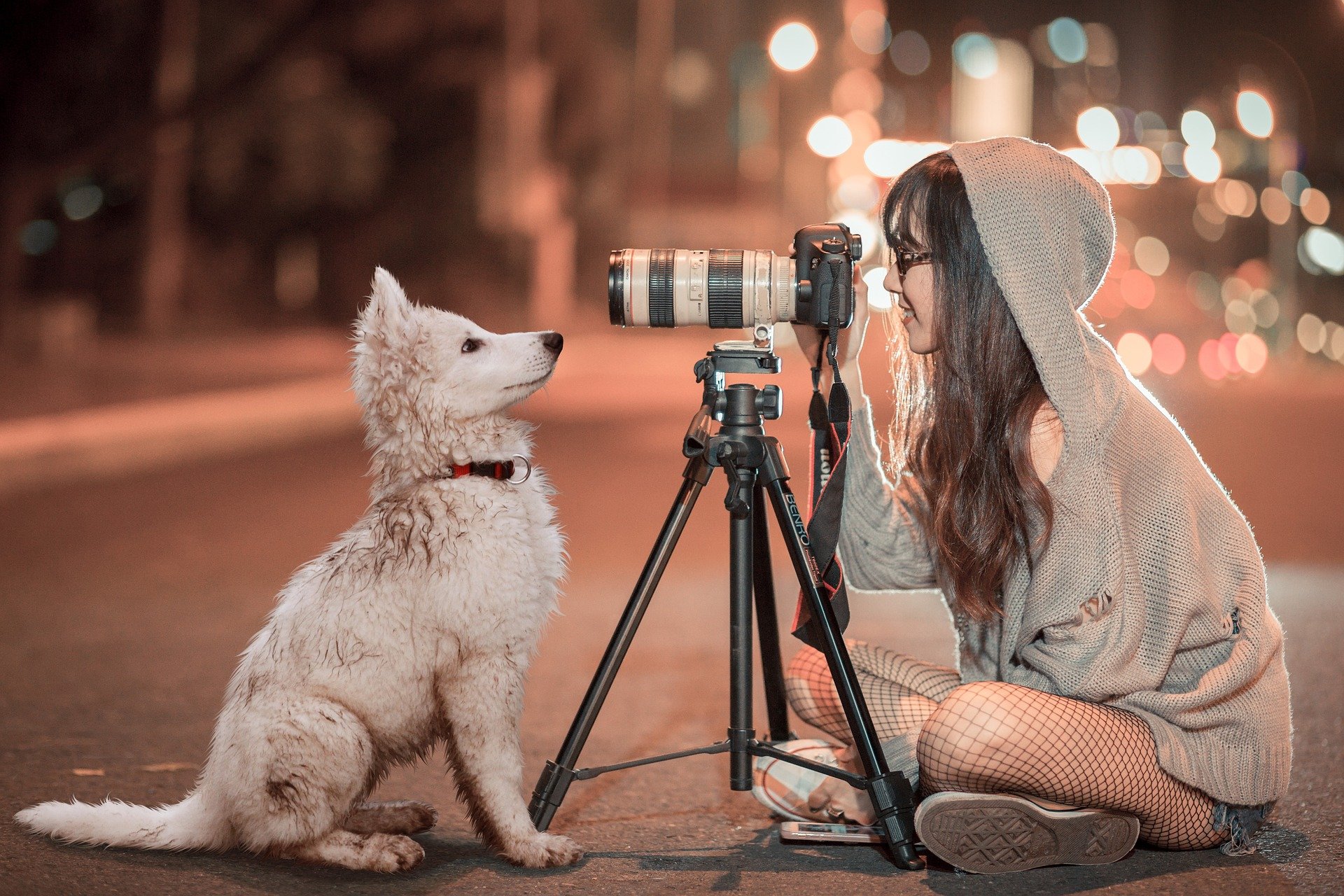 Cuánto cuesta mantener un perro