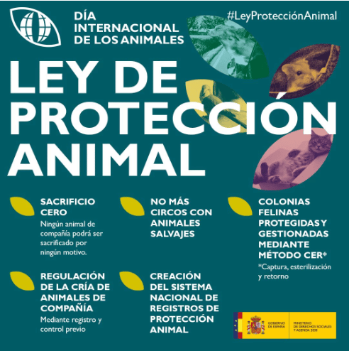 ley de protección animal