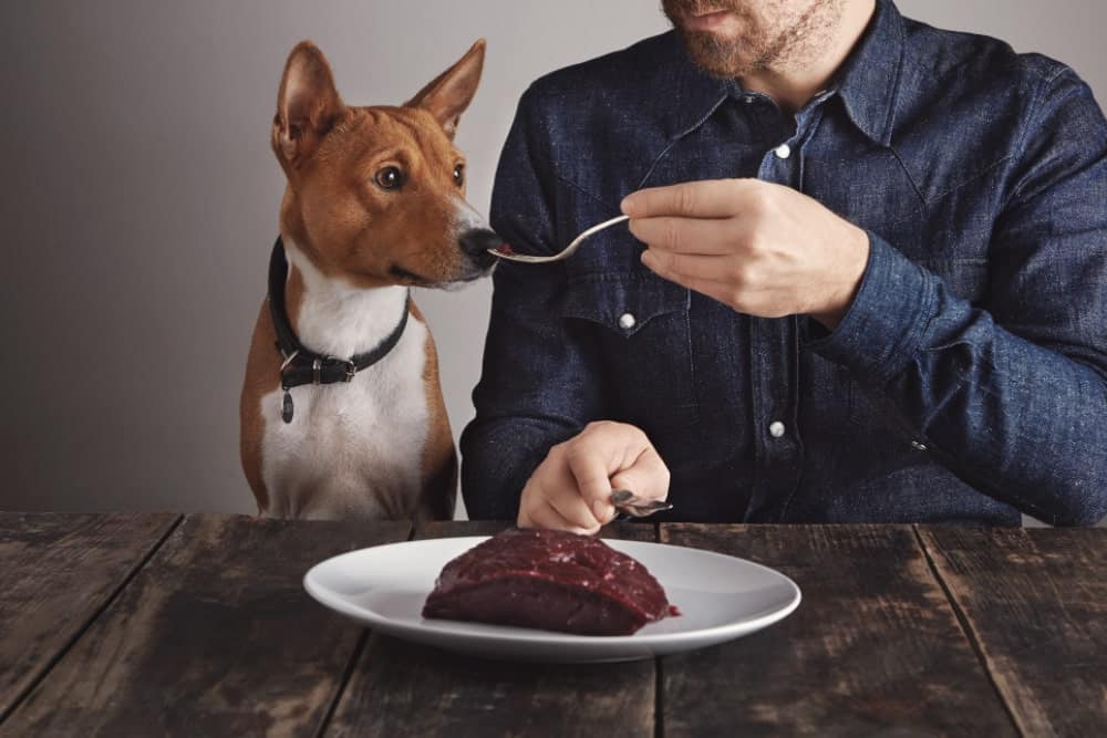 dieta barf para perros