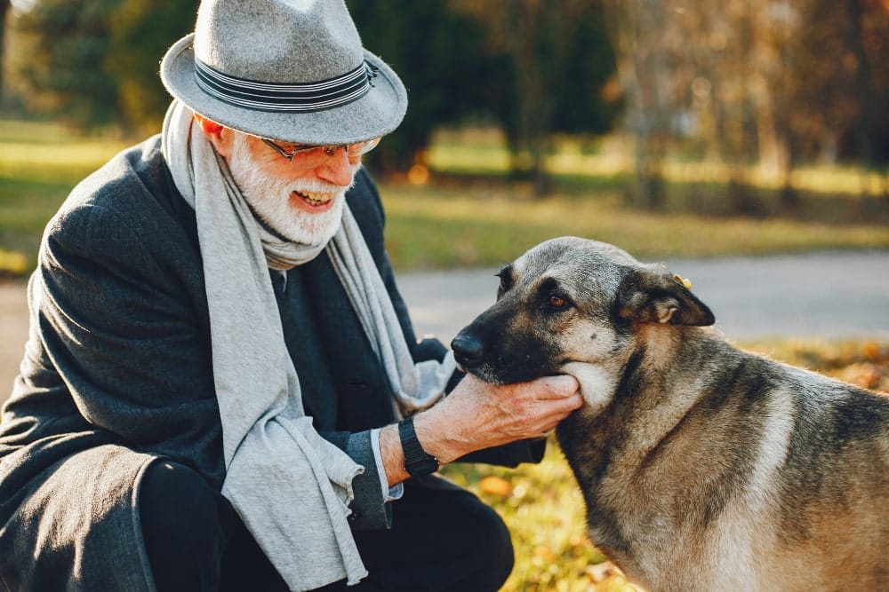 ancianos y mascotas beneficios