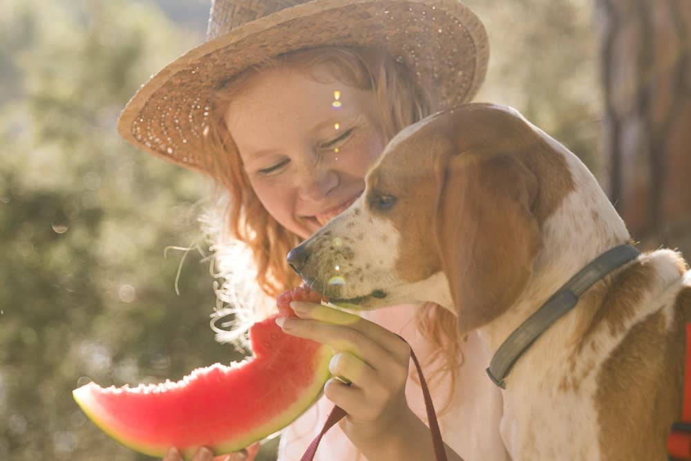 perro puede comer sandia