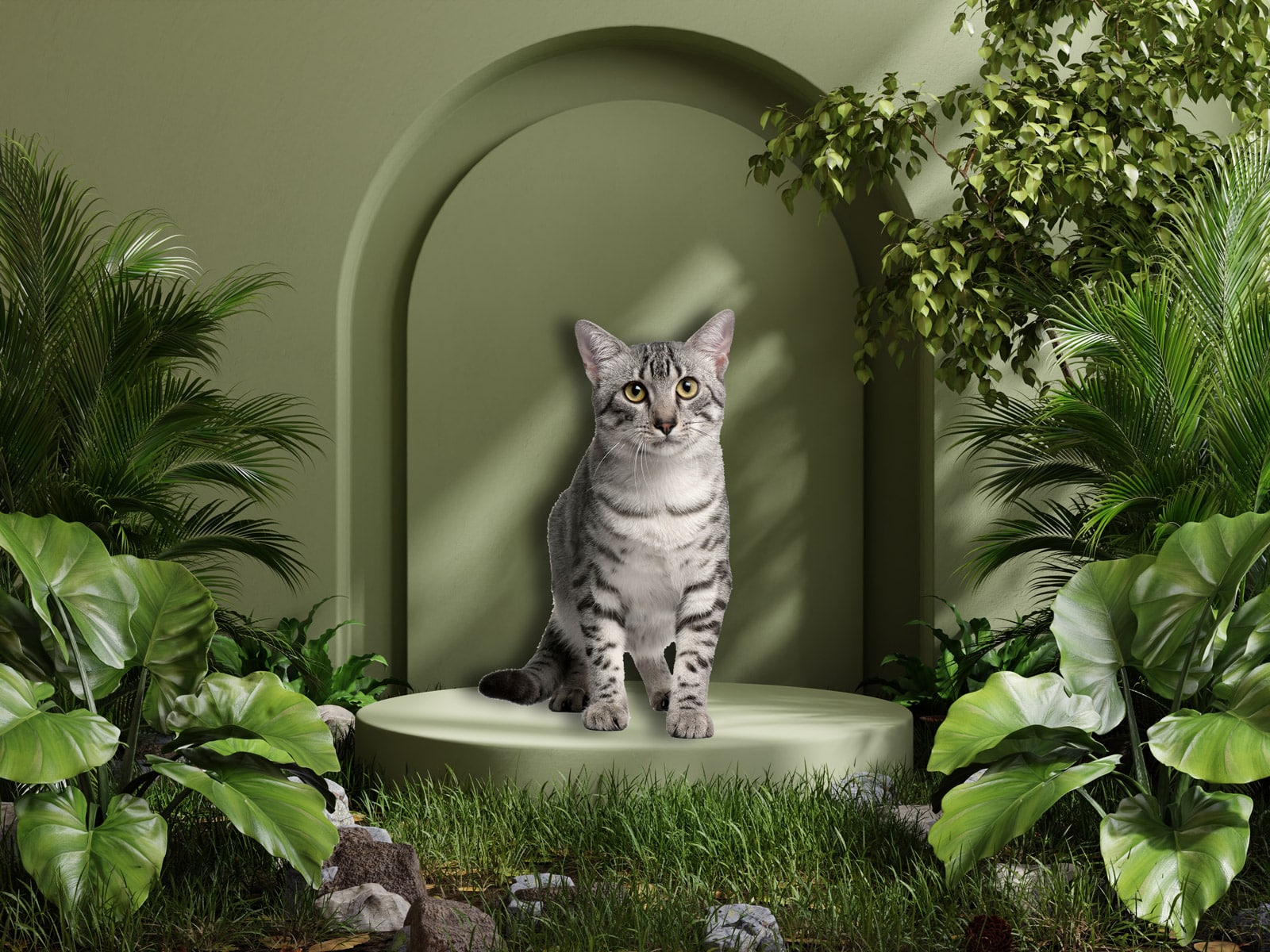 gato mau egipcio