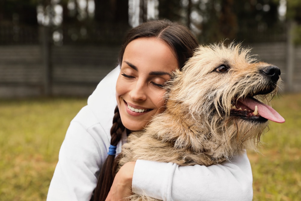 Los perros sin raza: ¿son distintos?