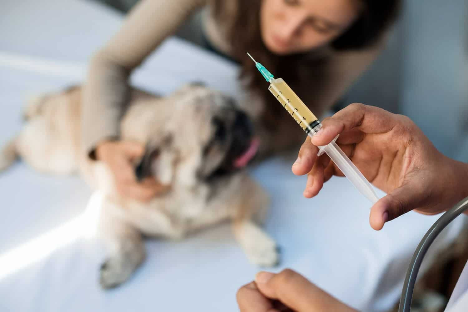 veterinario-preparando-vacuna