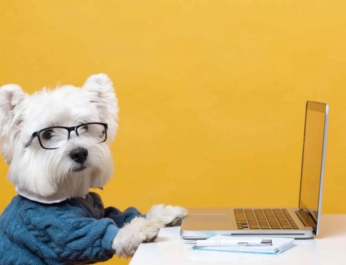 ¿Cuánto cuesta de media un perro?