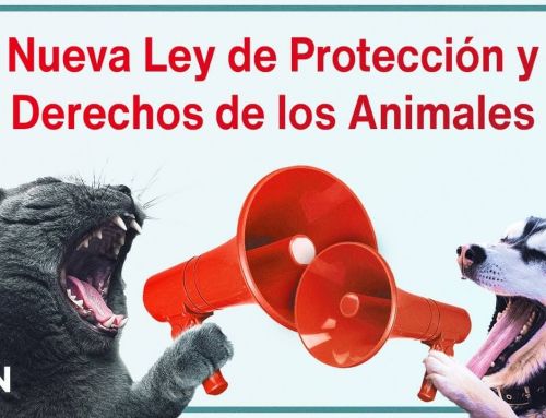 Ley de Bienestar Animal: ¿cuándo entra en vigor?