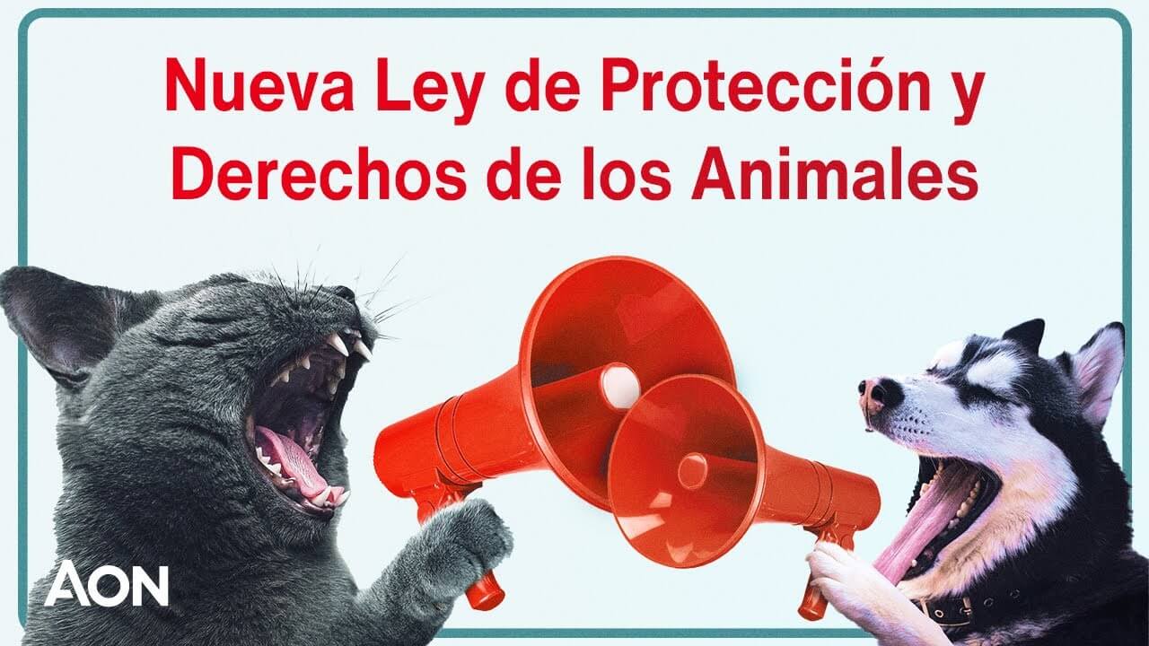 Ley de Bienestar Animal: