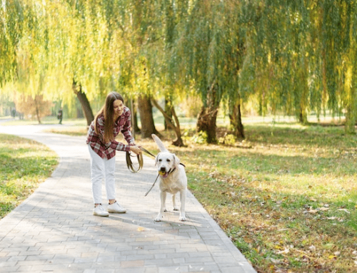 Ley de Bienestar animal: ¿será obligatorio el Seguro de Responsabilidad Civil para perros?