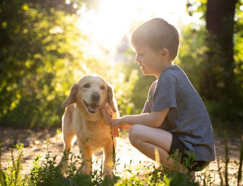 Mascotas y niños: formentar una relación segura y amorosa