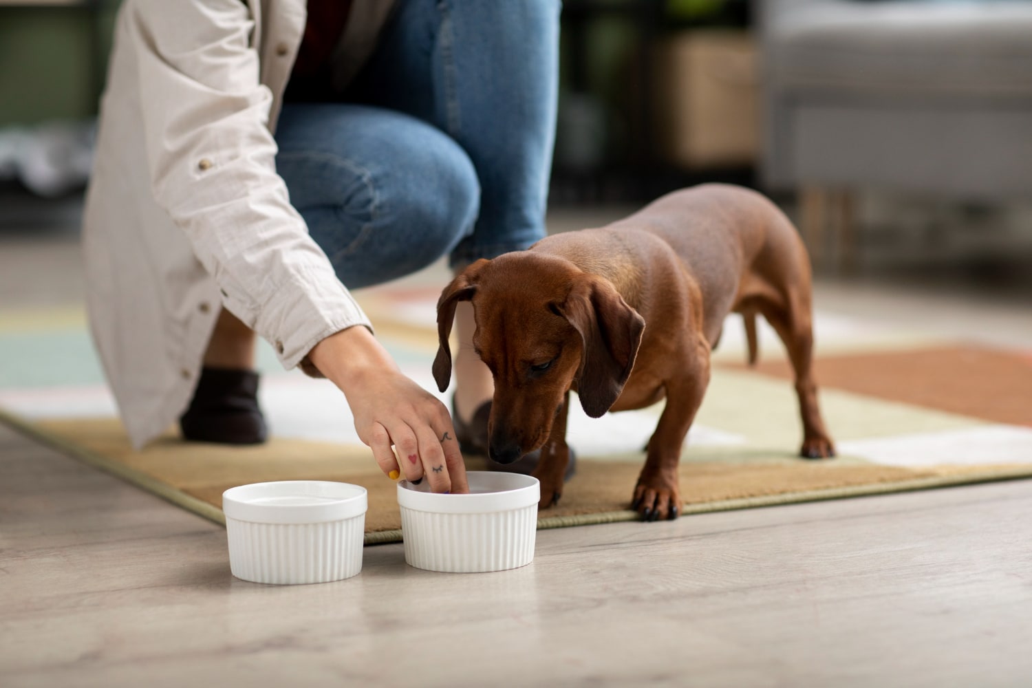 Cómo lograr que tu perro beba más agua en verano