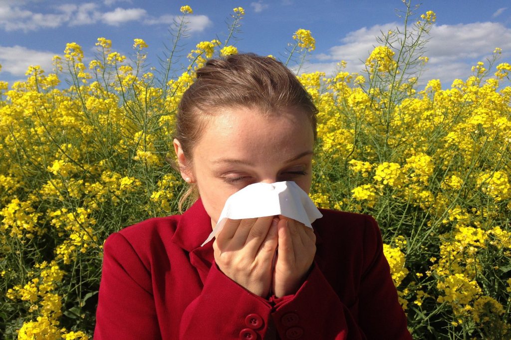 Alergia al polen: qué hacer para minimizar los síntomas