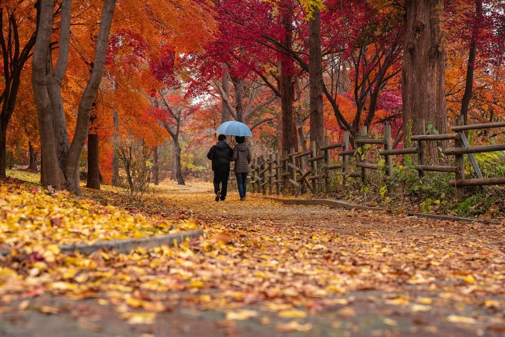 Cómo afrontar la vuelta al cole y a la rutina: claves para disfrutar del otoño